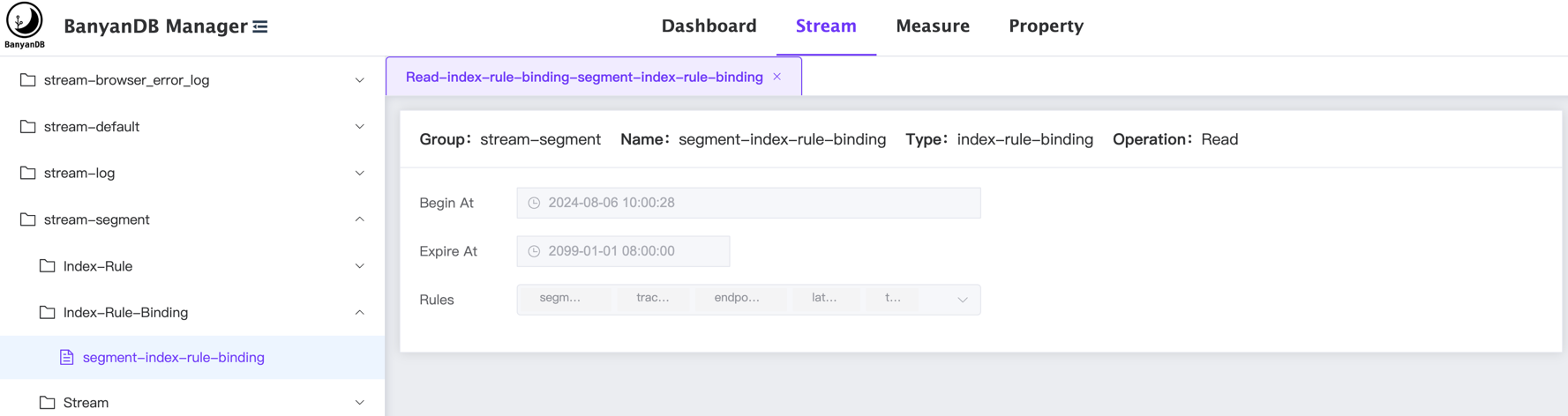 index-rule-binding-get.png